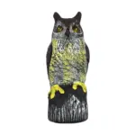 Ideálne umiestnenie sovy je na strechu budovy